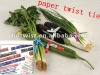 Paper printed Vegetables'twist ties