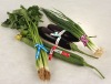 Paper printed Vegetables'twist ties