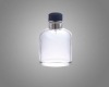 Perfume Bottle With Cap And Sprayer