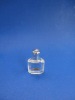 Perfume Glass Bottle