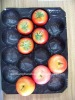 Plastic Insert Tray for Fruit,black,PP,trays,29*39cm