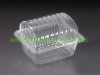 Plastic PET Folding Blister Box Plastic