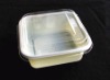 Plastic disposable fast food container