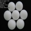 Plastics white deo PP hollow ball for roll on bottle package