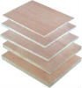 Plywood for packing-1220*2440*6