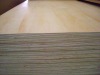 Poplar Plywood for Construction 2