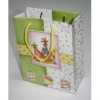 Popular Shopping  Paper Bag