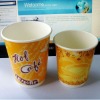 Popular paper cups with double wall