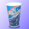 Printed Cold Drink Paper Cup 12oz