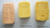 Printing Compressed Sponge