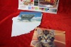 Professional RC Glossy Photo Paper , 220gsm New!