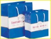 Promotion paper bag with pp rope handle