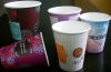 Promotion paper cup