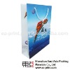 Promotion shopping paper bags print