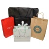 Promotional Paper Shopping Bag (PRP-007)