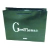 Promotional shopping paper bags