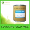 Pulp & Paper Enzymes