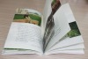 Quality Full Color Softcover Book Printing Service in Guangix China