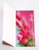 Recordable greeting card for promotion