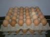 Recycle Paper Pulp 30 Eggs Egg Tray Carton