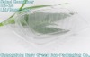 Recycled Transparent Salad Tray HB-48FL