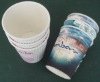 Ripple paper cup