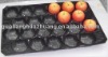 SGS Certificate,black&blue,39*59cm,fresh apple fruit packaging