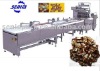 SM1000 Regular shaped Chocolate Packing Machine