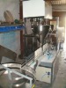 Salt Filler Equipment