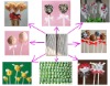 Sell Food Grade Cake Pop and Lollipop Paper Sticks