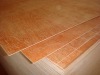 Sell Plywood for Packing/furniture