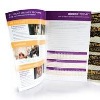 Sell Sheets & flyer/brochure/book