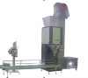 Semi Automatic Grain Packing Machine