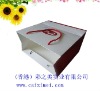 Shopping bag /Gift bag made in Shenzhen  China