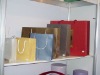 Shopping bags made by "Starlight" pearl paper