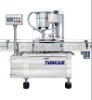 Single Head Capping Machine