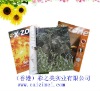 Softcover book/Magazine printing for children