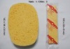 Sponges for printing machine