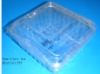 Square Fruit Plastic Container