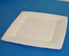 Square Paper Plate