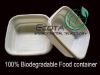 Starch-based biodegradable plastic food box