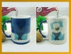 Sublimation Color Changing Water Cup