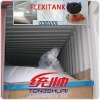 Syrup flexitank/flexibag container