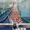 Tomato paste packaging machine