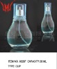 Transparent Band Empty Glass Perfume Bottles for 30ML