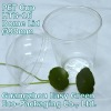 Transparent PET custom print drink cup 16 oz