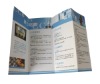 Tri-Folded Flyer Printing Service