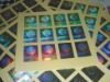 True Color Hologram Sticker