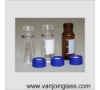 Tubular Glass Vial With Blue Plastic Cap