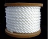 Twisted polyester rope